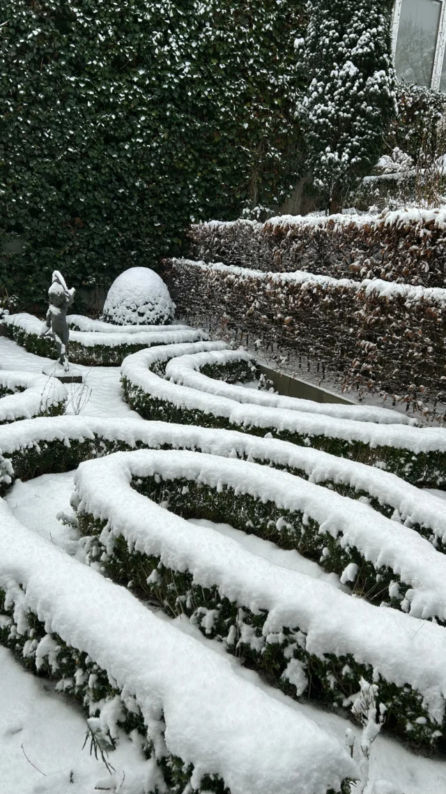 Happy new year💫💫💫 

Unter dem Schnee blüht es schon, genauso wie meine Ideen für die neuen Gärten 2025.

#gartengestaltung #gartenliebe #gärten #flensburg